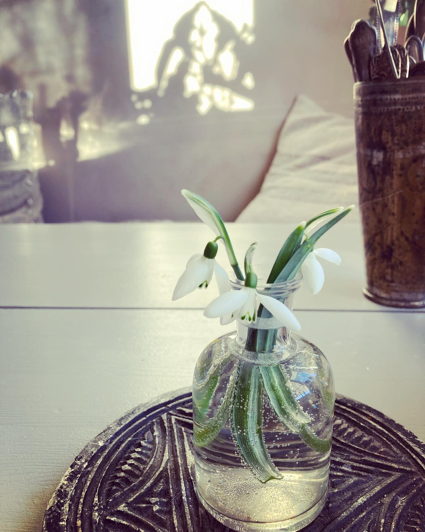 It is a little crazy but the first signs of spring are already here. The little tiny flowers peeking up through the soil makes me so happy. Life. Bright beautiful life from that dark mushy wet composting nourishment. 

That is how it feels right now 