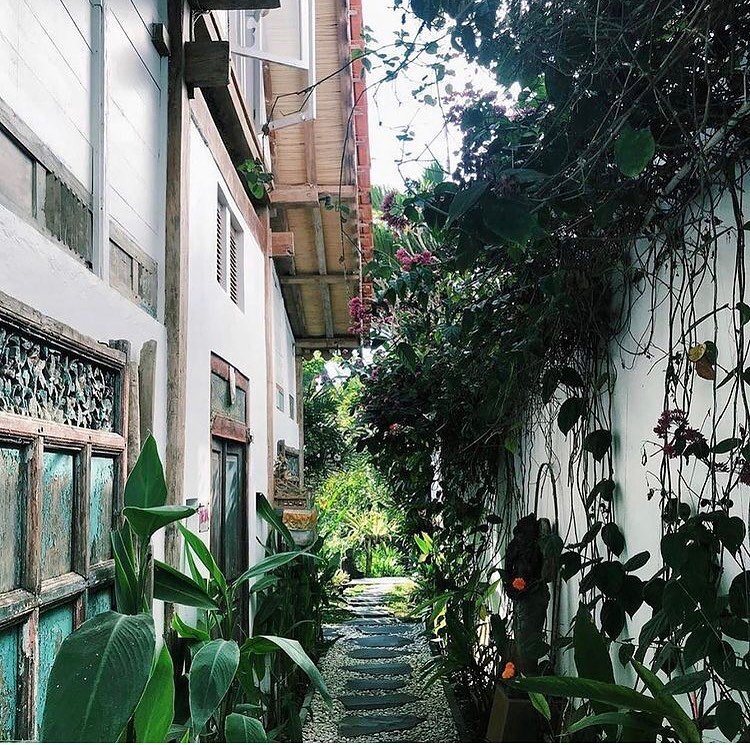 Walking among the houses in our Trinity Gardens is always an adventure of beauty. The magic scents and creative shapes in a magnificent soundscape. Like a little part of paradise. 

Contact our manager Esa via our website to learn about the details o