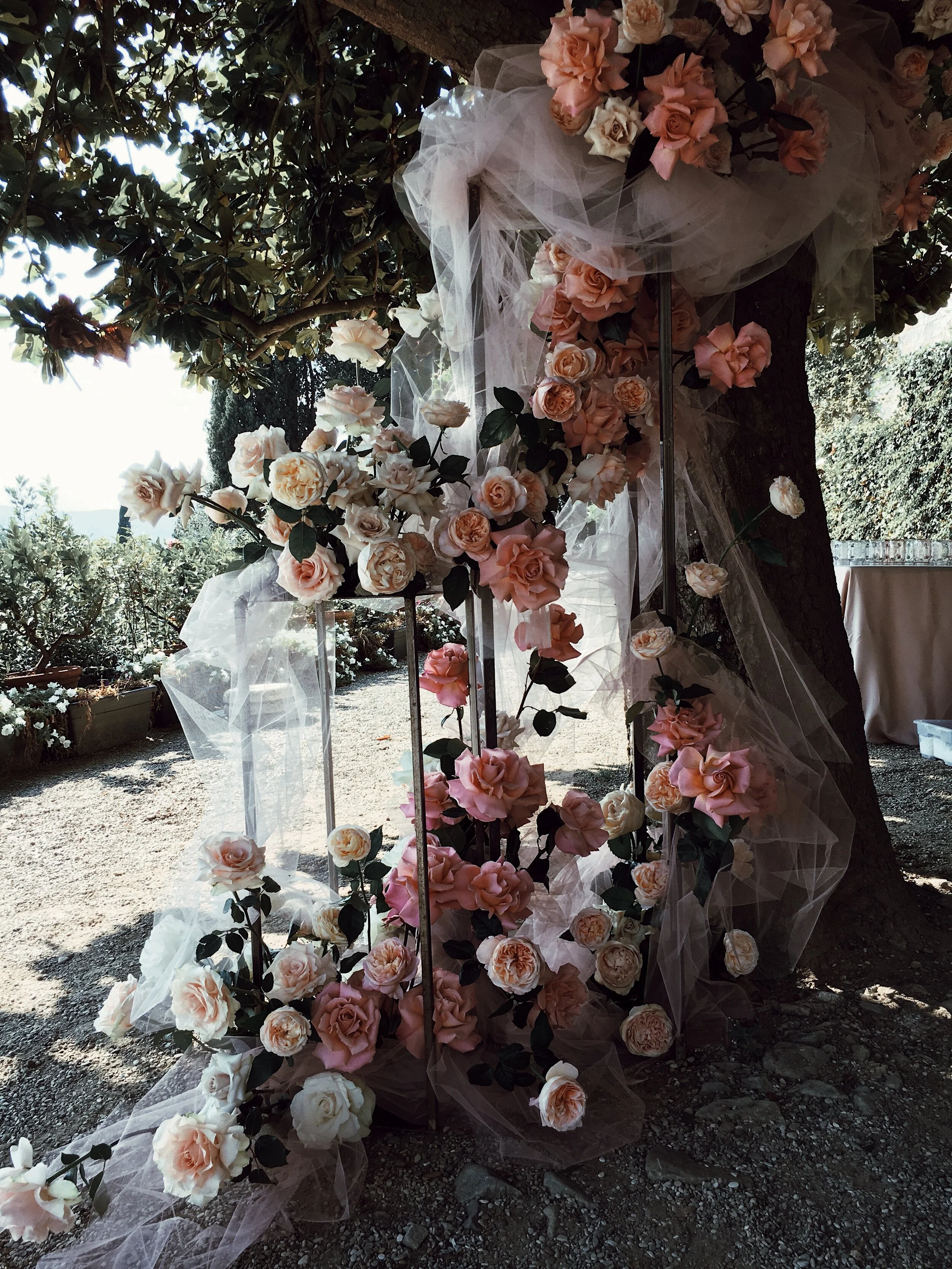 CDDC73BE-6F7A-4F8F-BFE9-06FE534A399F 2.JPG