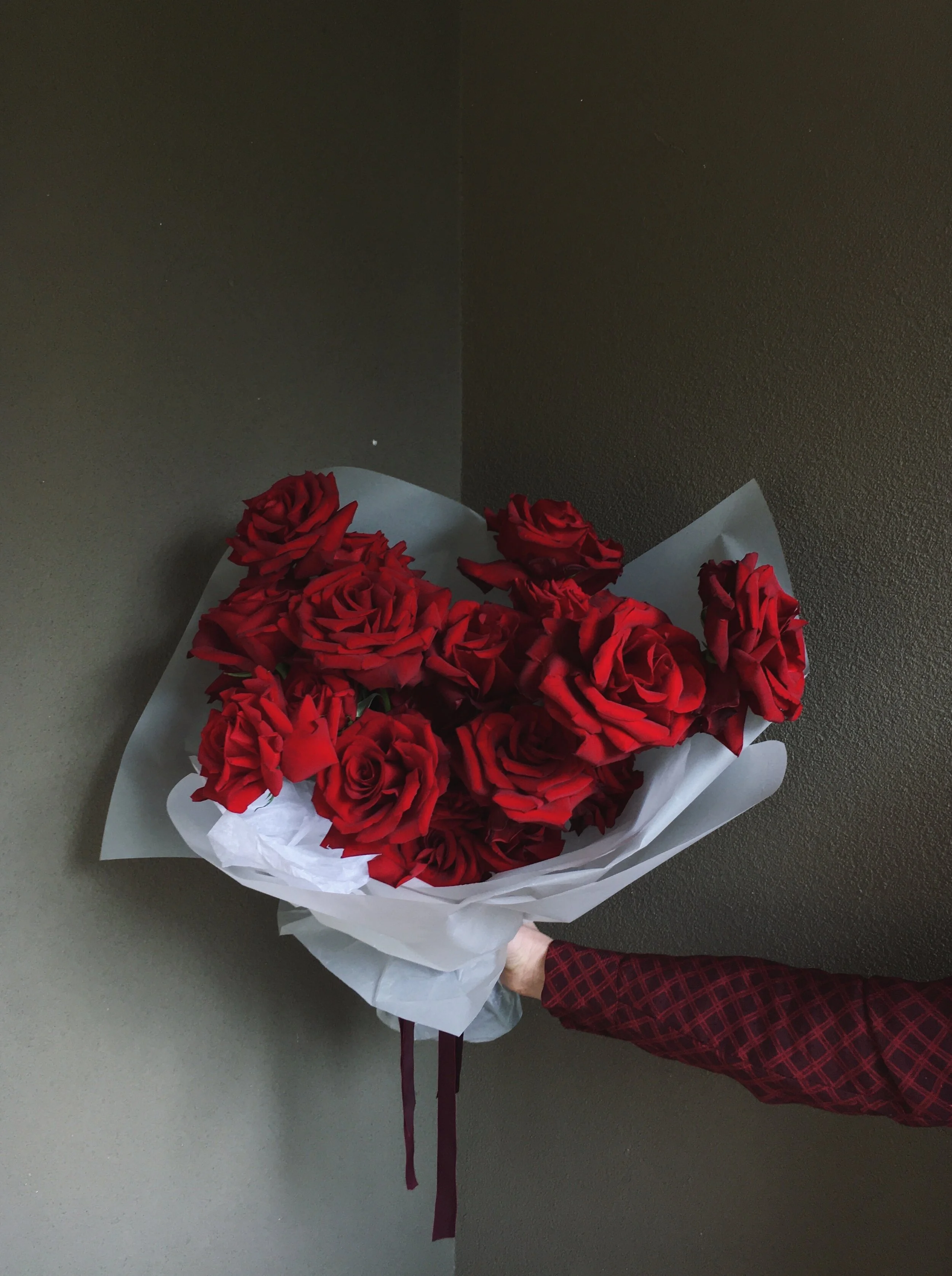 3548E8B5-5BB5-4B93-A3EB-44ABB7836C6C.jpg