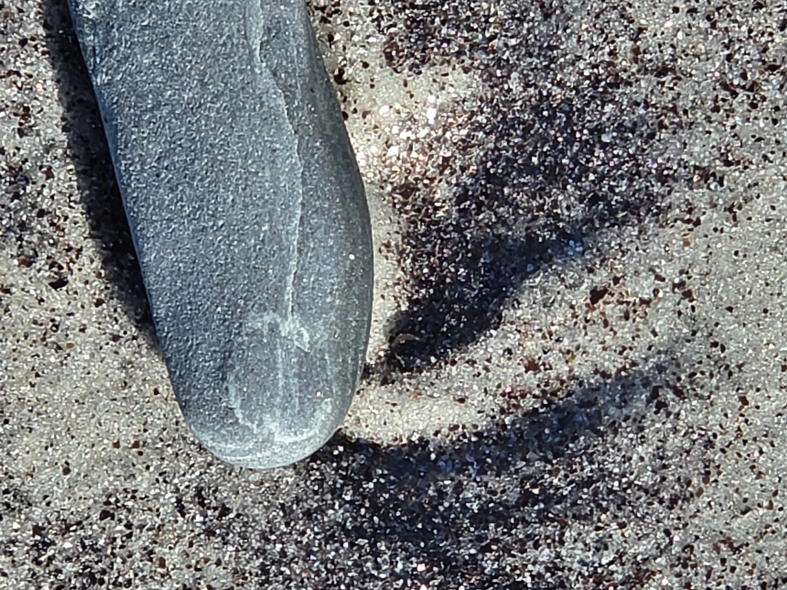 Buddha Toe