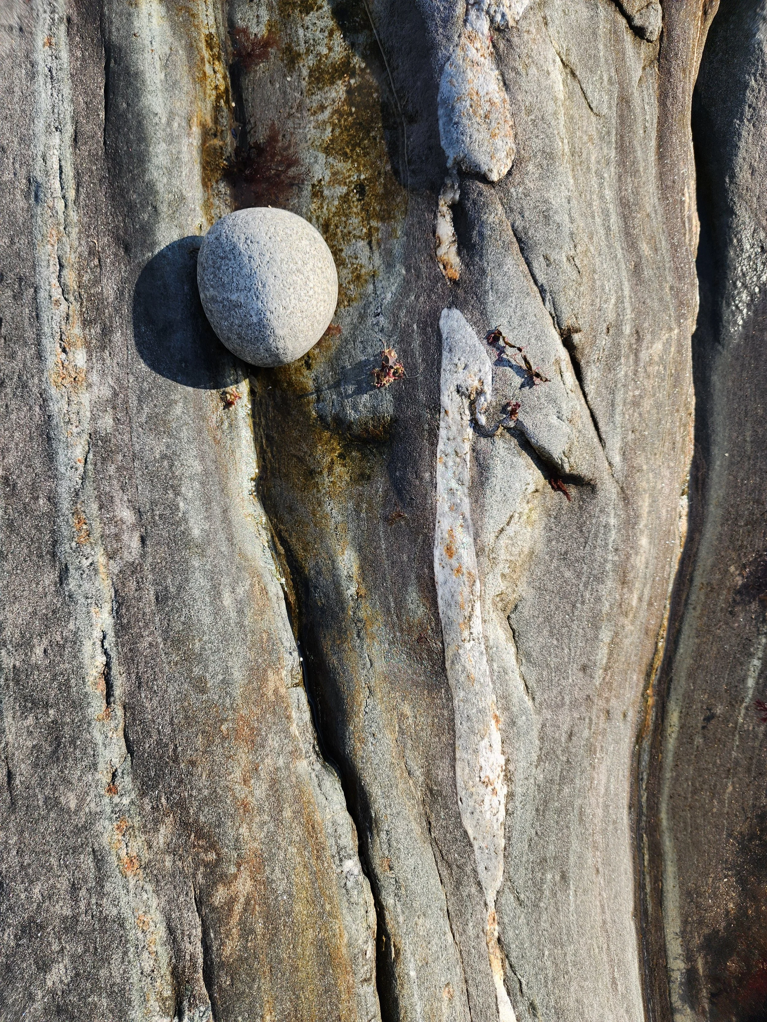 At Pemaquid Point, Maine #1