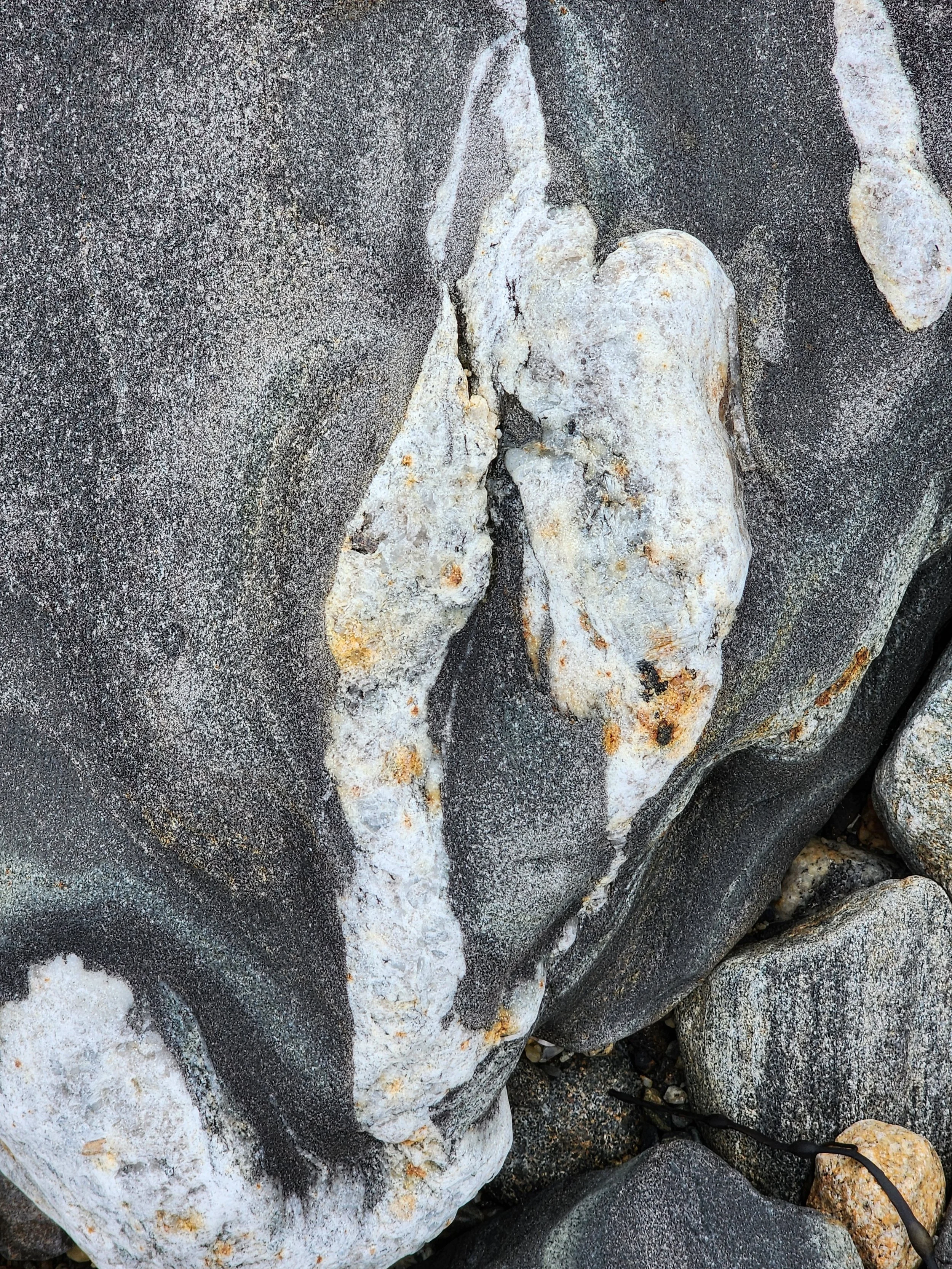 At Pemaquid Point, Maine #12