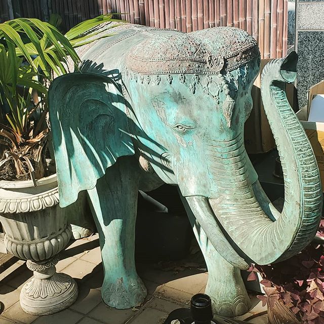 In Japan the elephant represents power, wisdom and success. This little fella graced me with it's presence on my last morning in Tokyo. Feeling and sending good fortune, luck, and strength to all my people near and far
