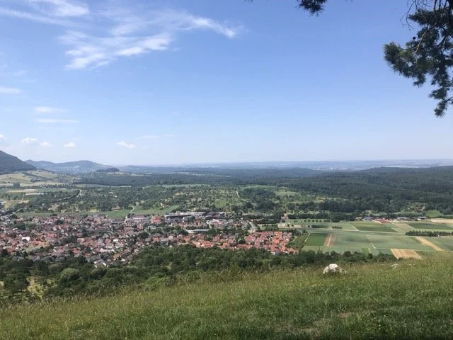 IMG_8377 Medium.jpeg