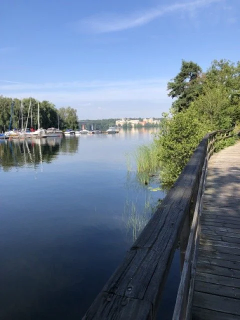 IMG_8885 Medium.jpeg