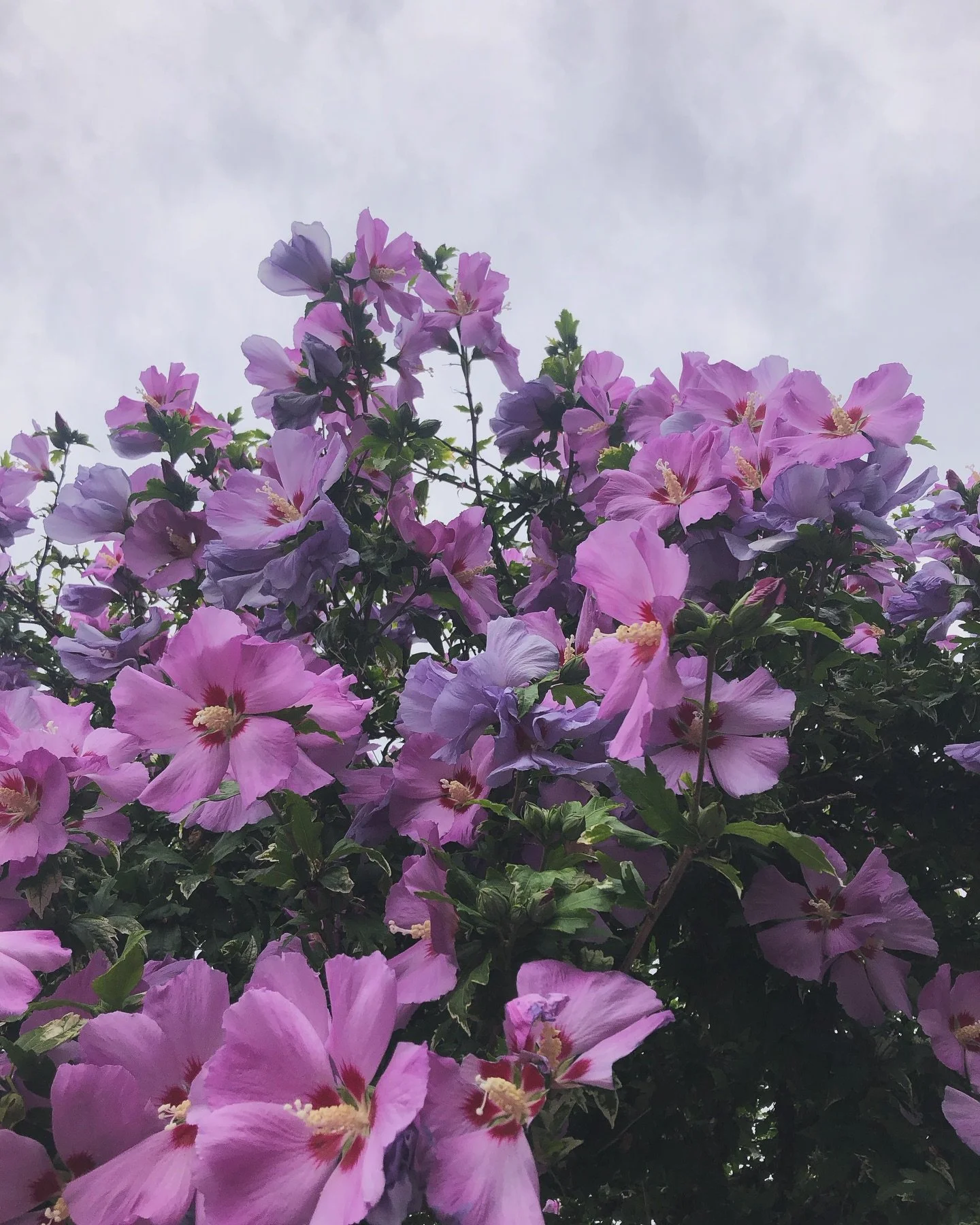 A little bit of life recently 🤍