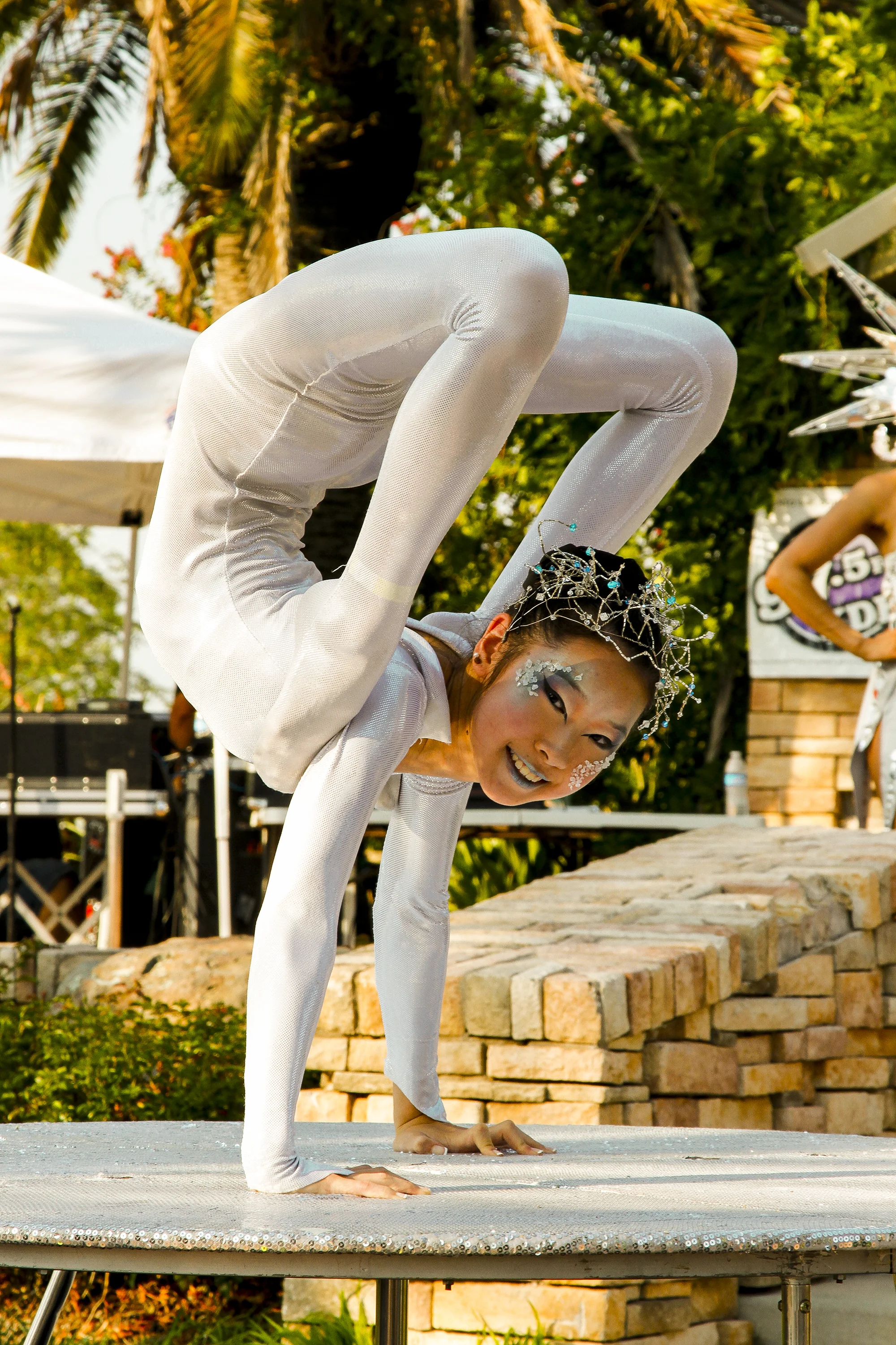 Acrobat_sized.jpg