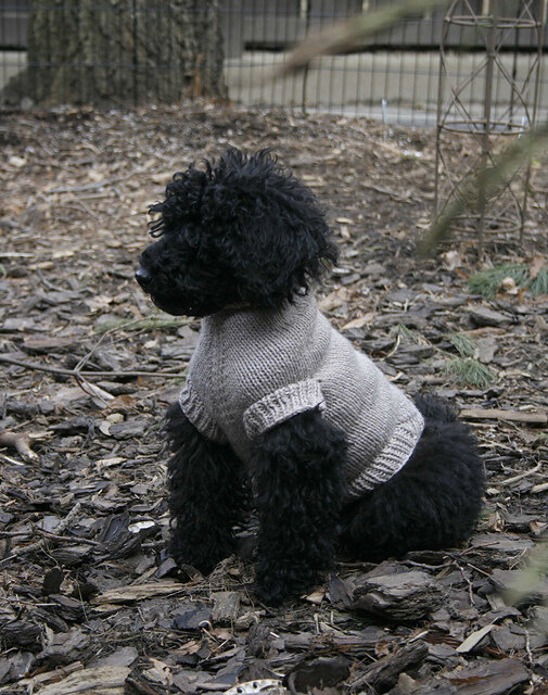 The Nifty Knitter - Custom Fit Dog Sweaters