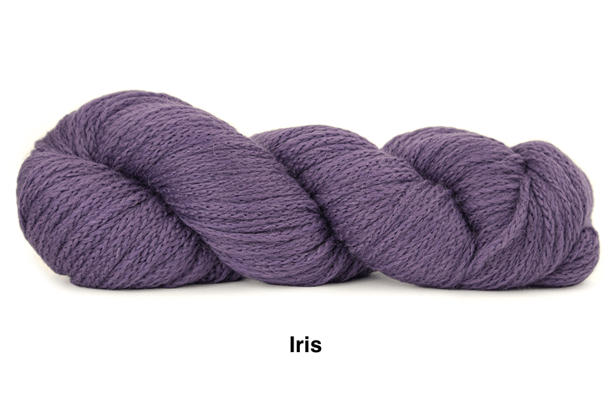 Oh! (#173 - Iris).png