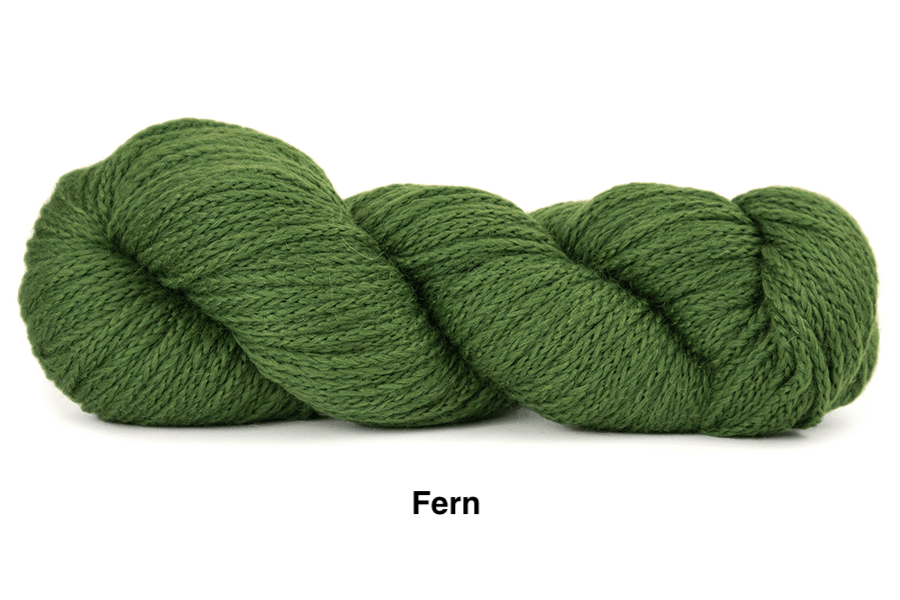 Oh! (#171 - Fern).png