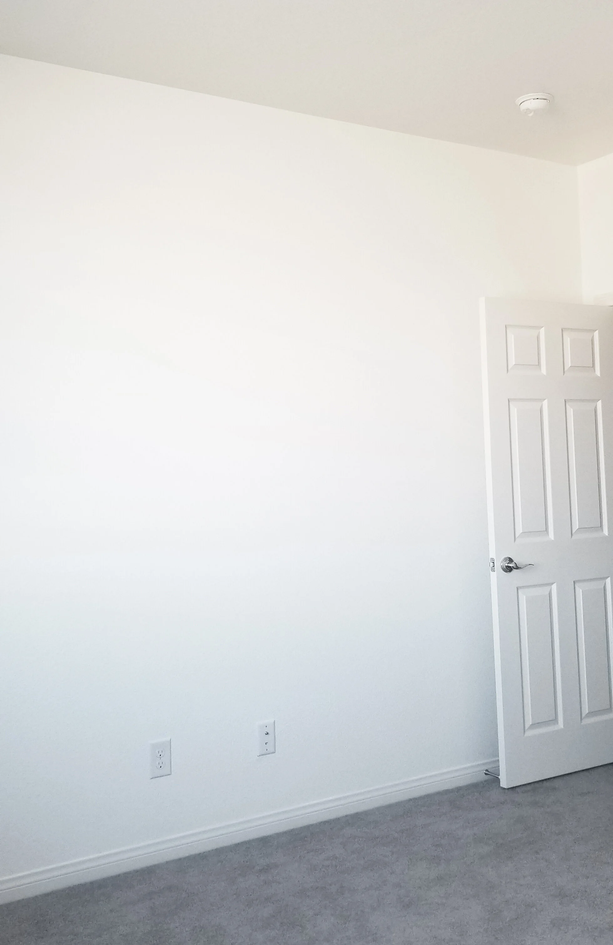 updated white.jpg