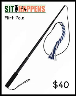 flirt pole.jpg