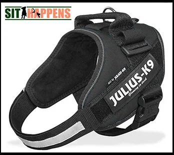 Julius K9.jpg