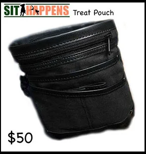 treat pouch.jpg