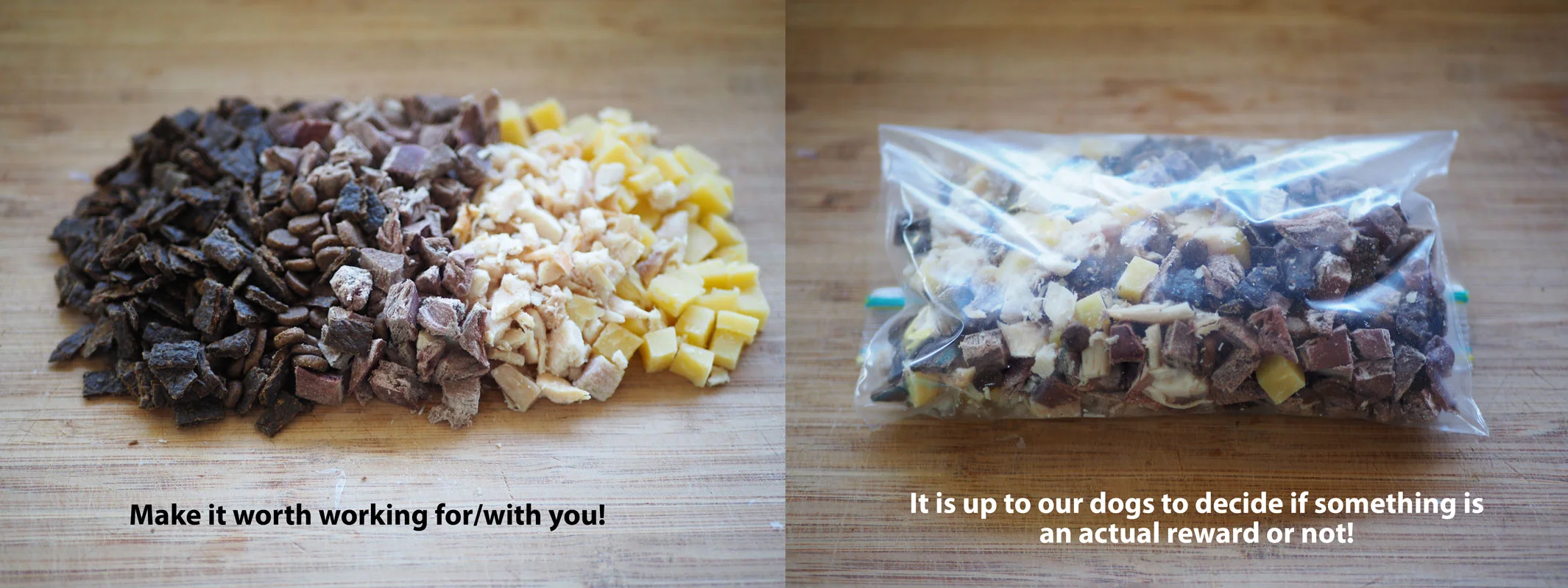 o It is up to our dogs to decide if something is an actual reward or not! So, you have to know your dog and see if they’re working "enthusiastically" or not. If they’re distracted, sniffing around, taking the treat without really paying attention to you and going back to their business it means that the value of the treat is not high enough.  o Make it worth working with/for you. Always have the yummiest mixture of treats, especially when dealing with fear, but also when dealing with distractions.  o What are good options? Cooked chicken, cheese, sausages, ham, any other meaty yummy stuff from the supermarket. Happy Pet Freeze Dried Venison Heart from us, Ziwi Peak (the food rather than the treats as it’s cheaper) and Orijen cat food from pet.co.nz. Their Addiction treat range also sounds good although we haven’t tried that one yet.  o What needs to stay home? Your normal kibble, highly processed supermarket treats, massive treats that can’t be broken up.  o Make treats pea sized and have them prepared before the training session. They need to be kept handy, either in a treat pouch or bum bag or easily accessible pocket.