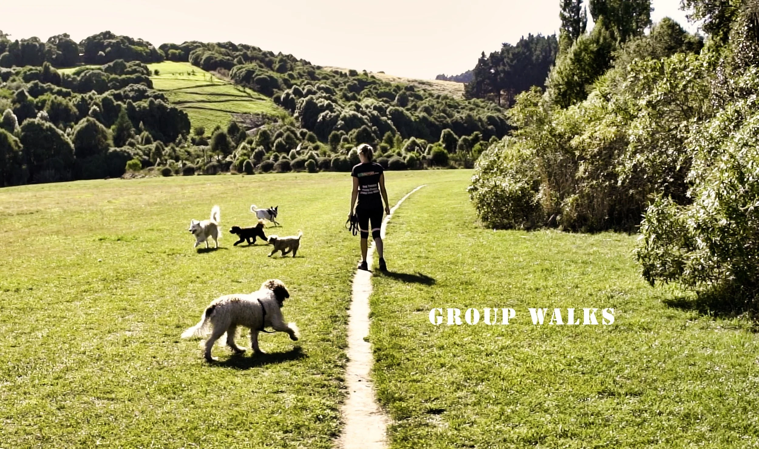 GROUP WALKS with text.jpg