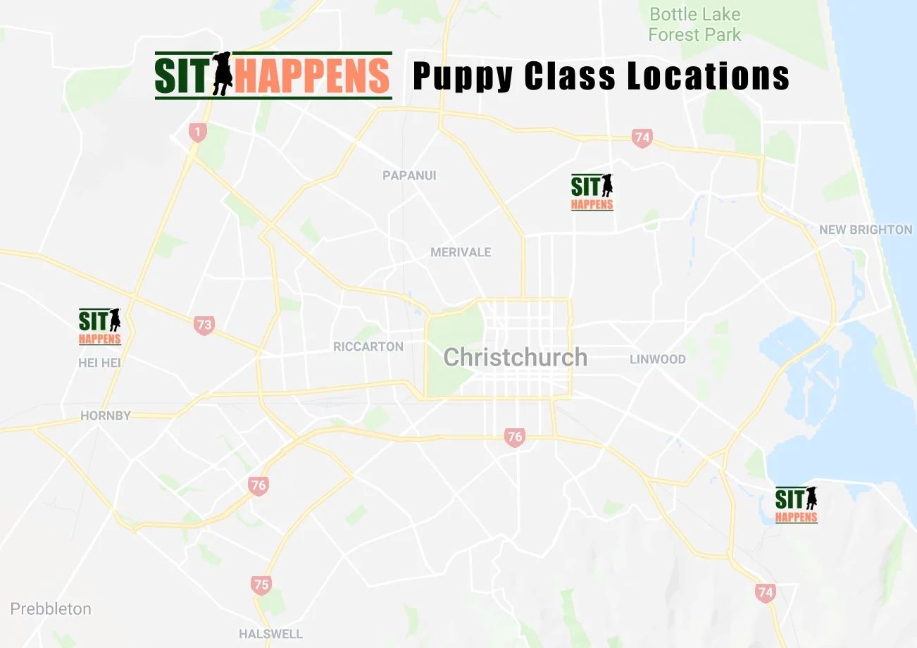 puppy class locations.jpg