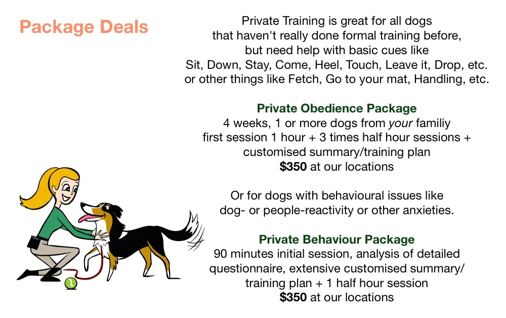 Package Deals 1.jpg