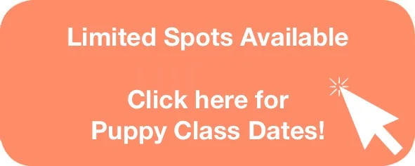 puppy class dates.jpg