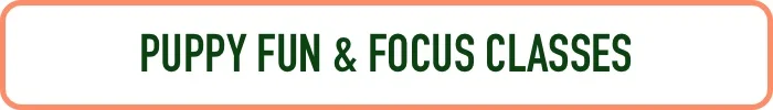Puppy Fun & Focus Class.jpg
