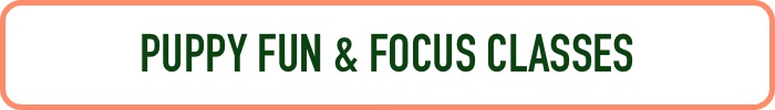 Puppy Fun & Focus Class.jpg