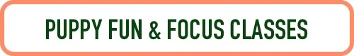 Puppy Fun & Focus Class2.jpg