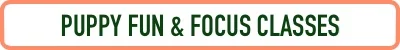 Puppy Fun & Focus Class3.jpg