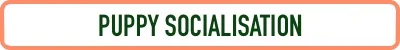 Puppy Socialisation3.jpg