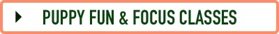 Puppy Fun & Focus Class4.jpg