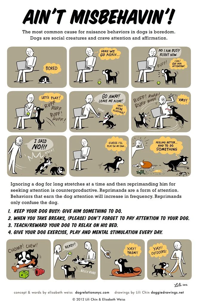 But remember to make attention on your terms!!