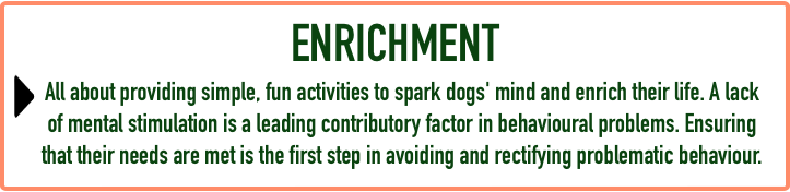 Puppy FAQ - Enrichment.png