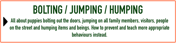 Puppy FAQ - Bolt:Jump:Hump.png