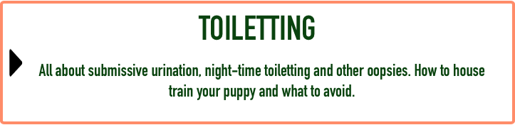 Puppy FAQ - Toiletting.png