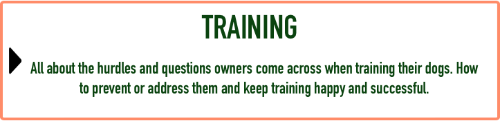 Puppy FAQ - Training.png
