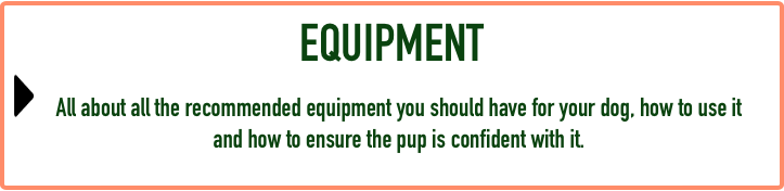 Puppy FAQ - Equipment.png