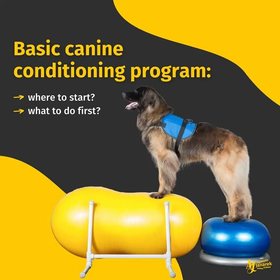 Basic Canine Conditioning Program