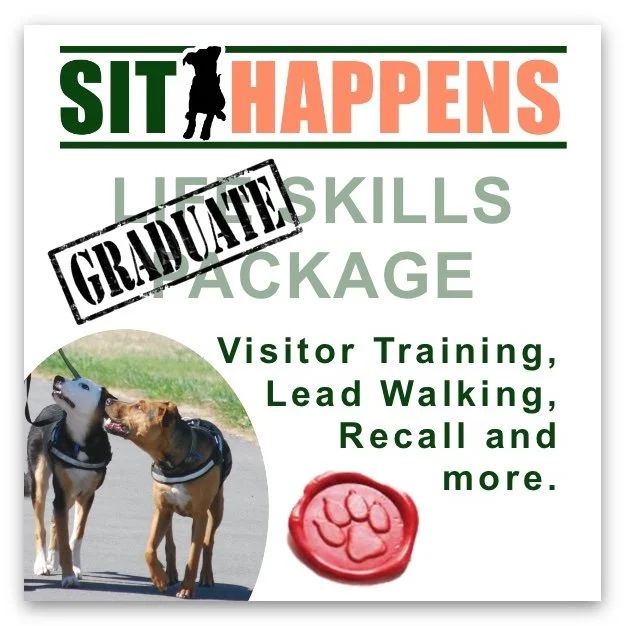 Graduate Life Skills Package