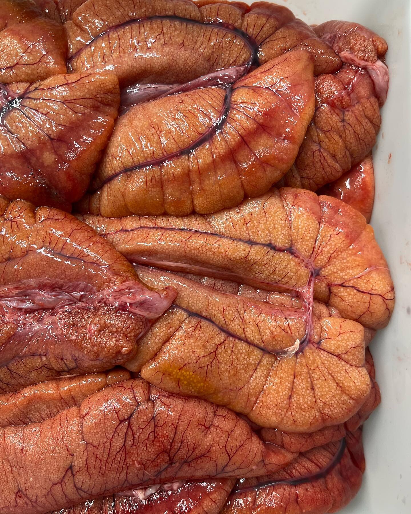 Shad Roe, a true harbinger of Spring! 🐟
American Shad are one of the largest member of the Herring family and like Wild Salmon are anadromous fish, born in fresh water and live in the ocean, returning to the body of water they were born in to spawn.