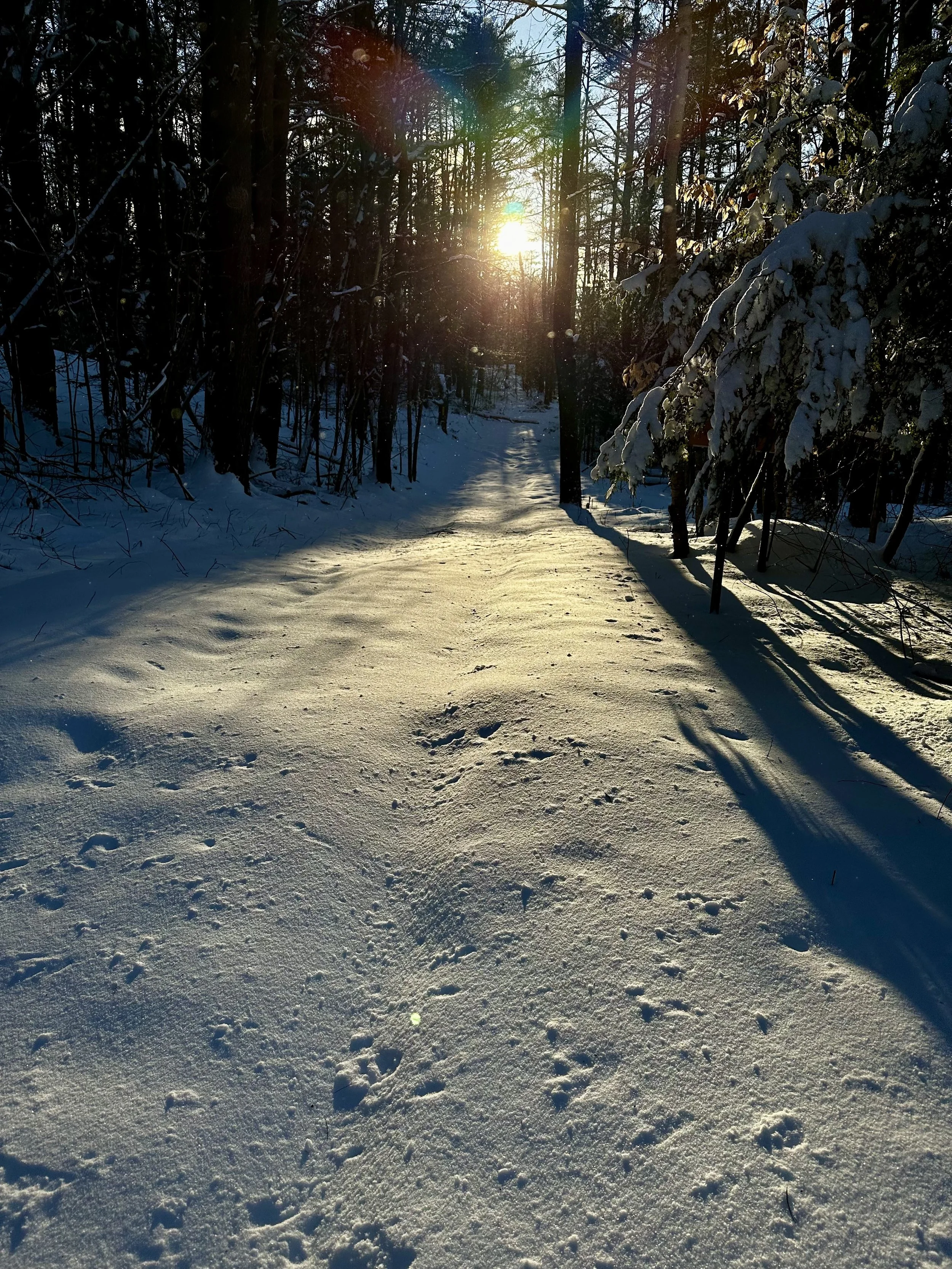 Powersummit - morning after snow.jpeg