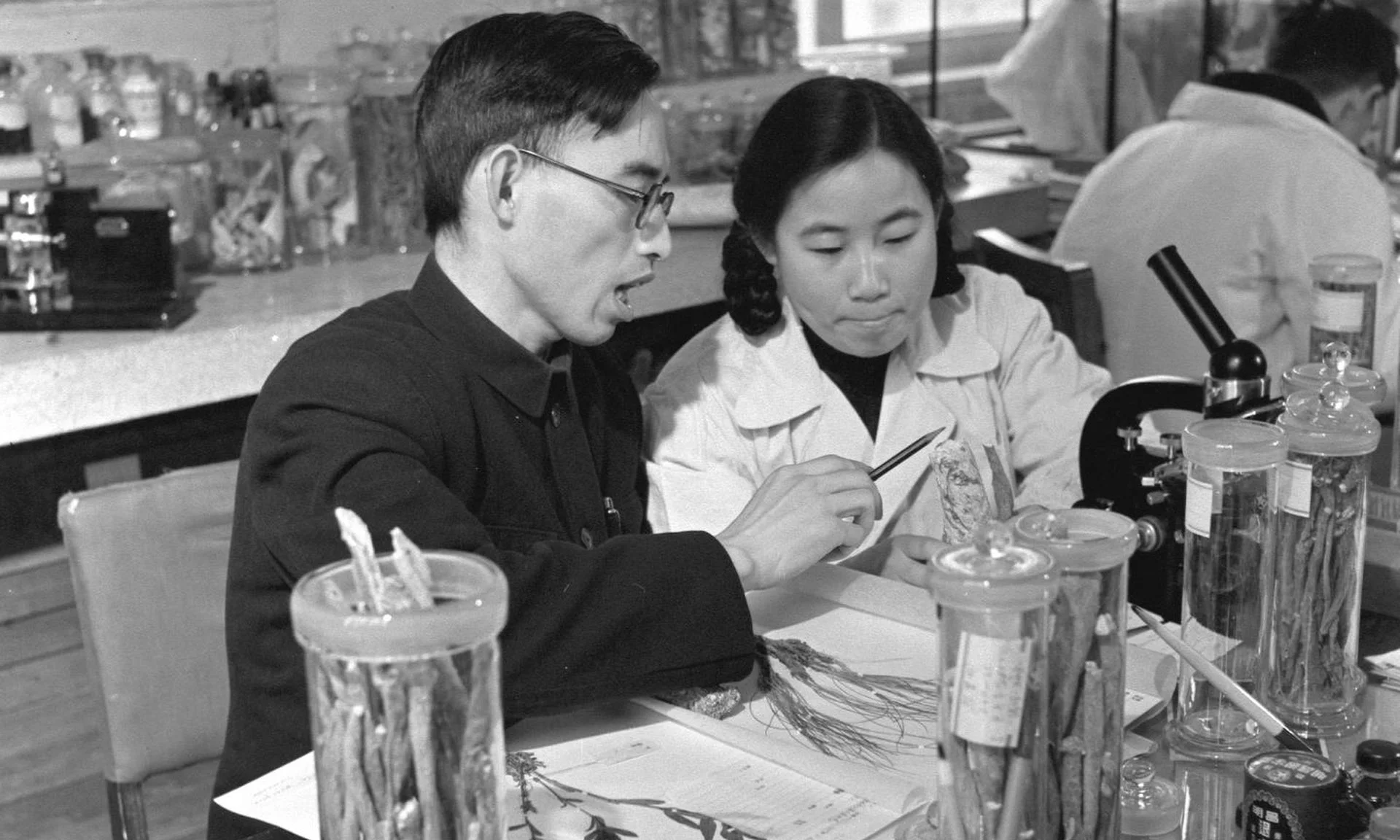 Dr. Tu working with her mentor, Professor Lou Zhicen, circa 1950s. Image: Public Domain