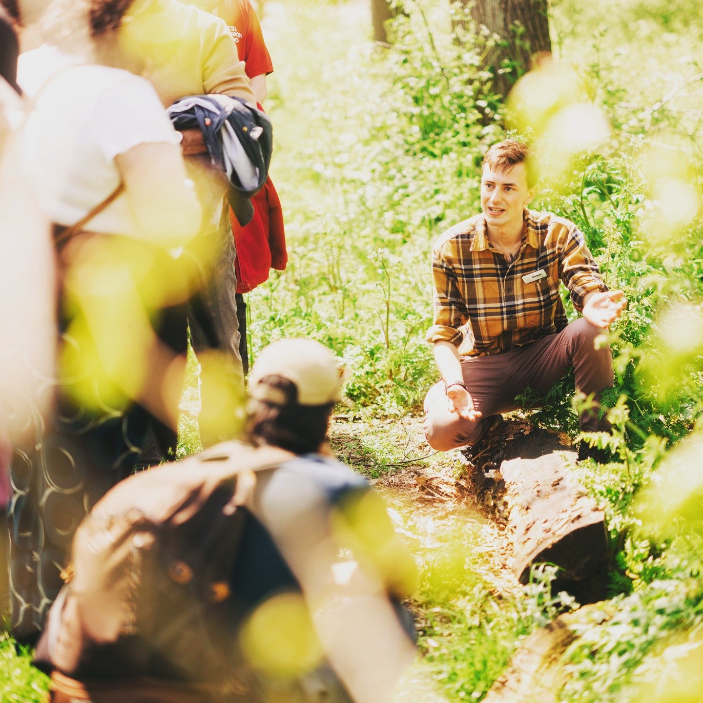 🌱Last few free spots for our Queer ecology walk on Wanstead Flats with @connor_the_ecologist next Thurs 19 June at 6.30pm - link in bio to sign up! 🌳