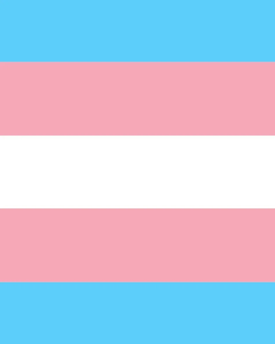 As the EHRC guidelines on single-sex spaces come into force, we stand in solidarity with all members of the trans+ community. These are just some of the organisations providing support and advice:

@genderedintelligence
@transactualuk
@mermaidsgender