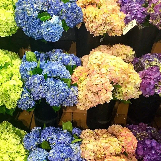 Hydrangeas are my favorite. Hint, hint.