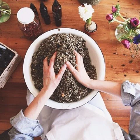 Getting inspired to share common applications of herbal medicine that's useful in everyday life at our evening workshop tomorrow at @assembly.toronto 🍃✨ 📸 #herbalacademy #plantmedicine #herbalism #selfcare #community 💕