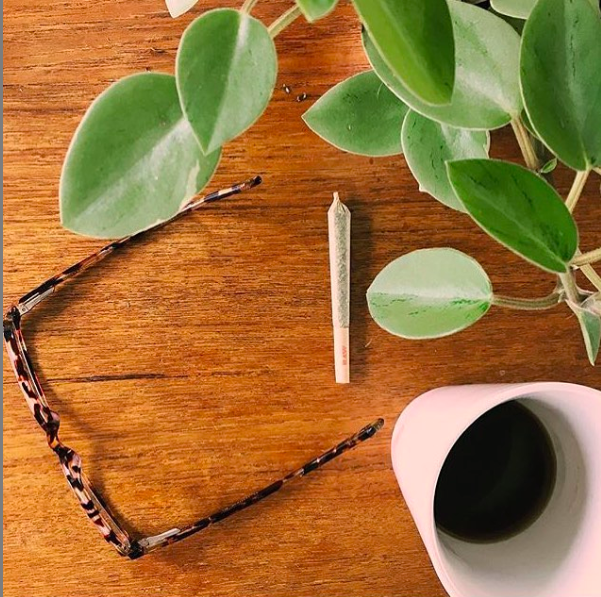 hibotanica coffee + productivity.png