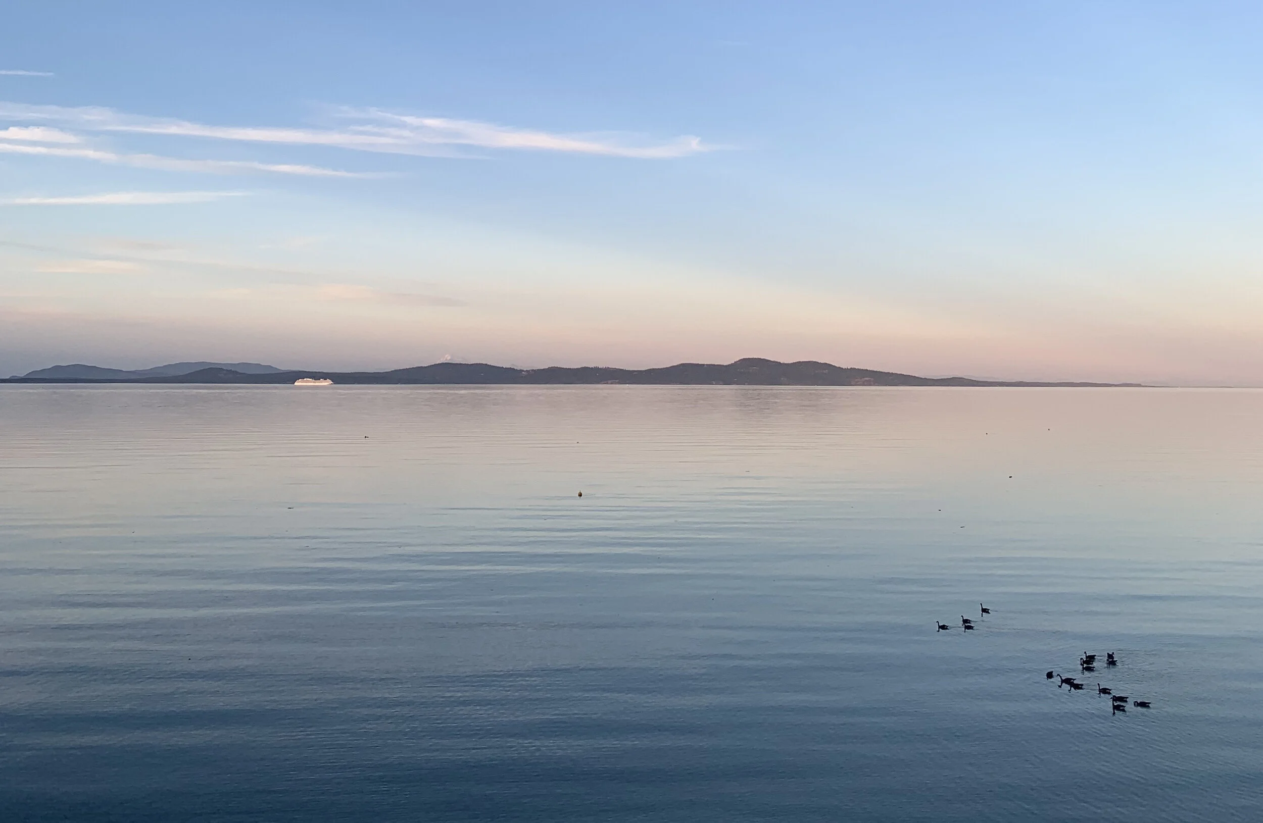 dusk cordova.jpg