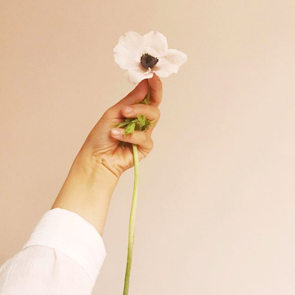nicola dam floral.png