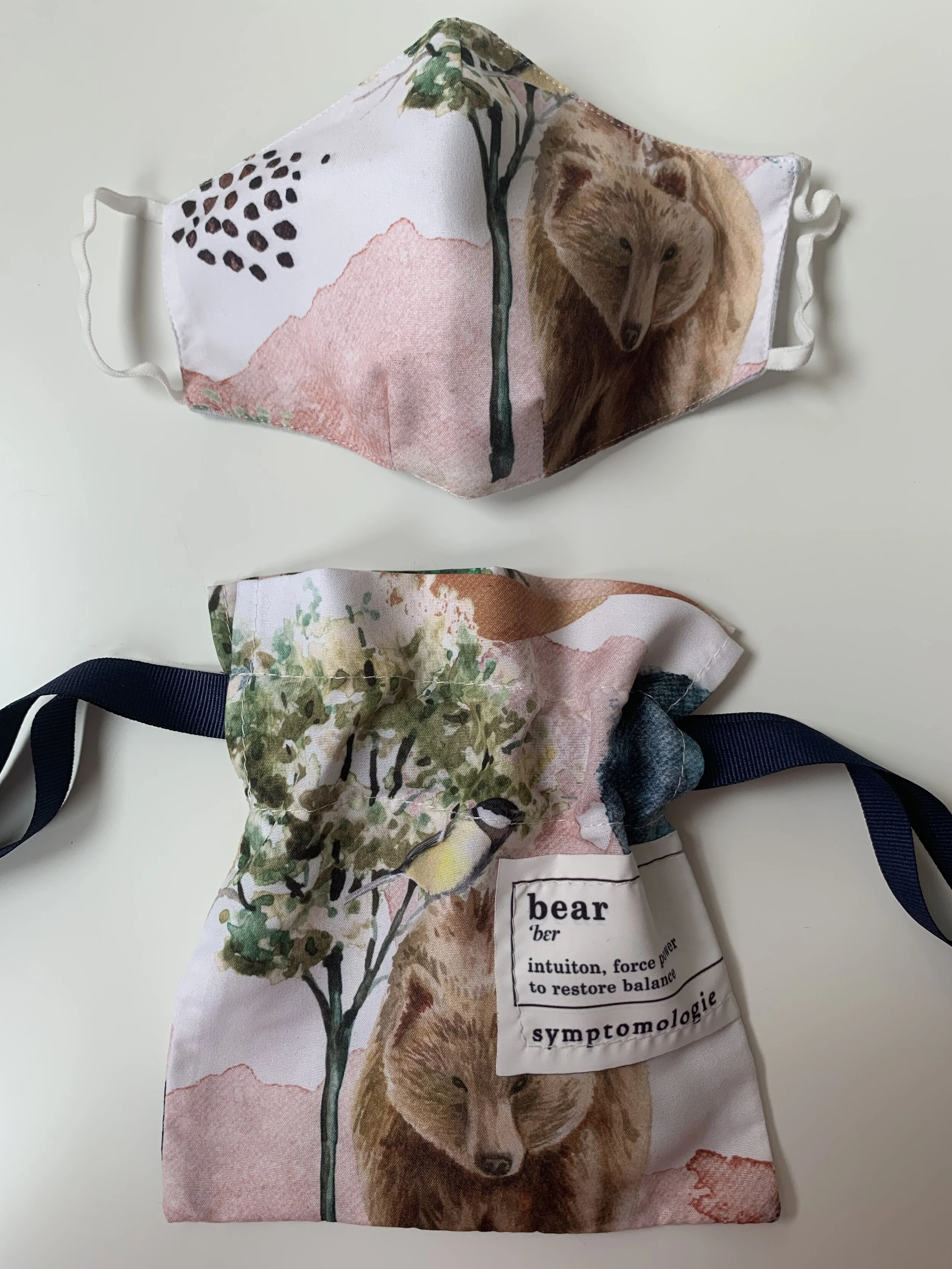 bear satchel with mask above.JPG