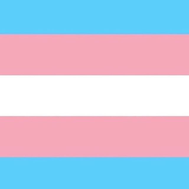 The Transgender Pride Flag was created by American trans woman &amp; Navy veteran Monica Helms in 1999 &amp; was first shown at a pride parade in Phoenix, Arizona in 2000 to represent the transgender community. Helms describes the meaning: &quot;The 